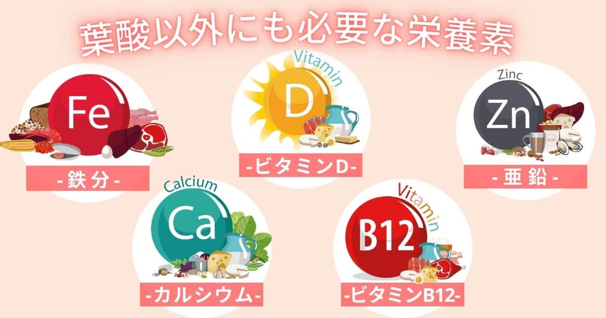 葉酸サプリおすすめどんな栄養素が入っているの？
